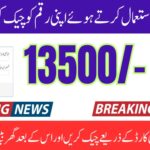 8171 Check Your Payment By CNIC From Your Mobile, geo29hd